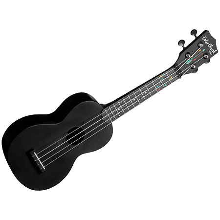 Kala Recycled Learn To Play Color Chord Soprano