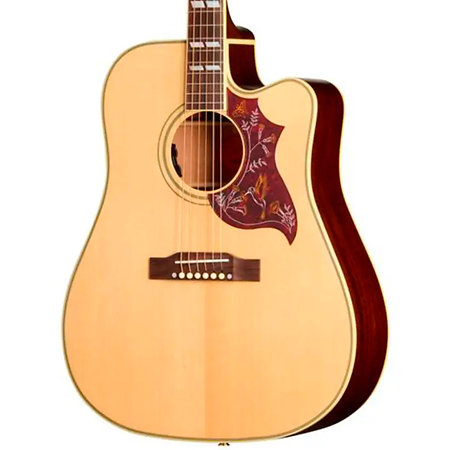Hummingbird Standard EC Natural + Housse Epiphone