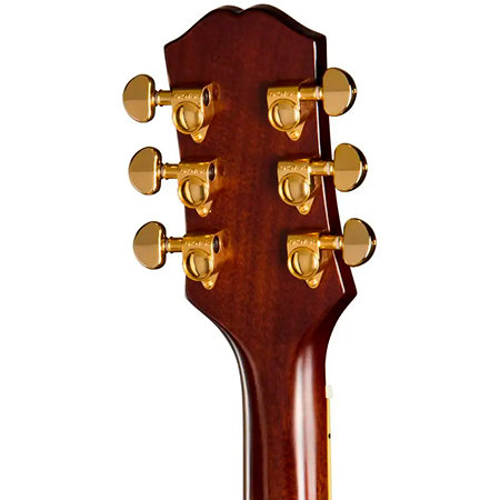Hummingbird Standard EC Natural + Housse Epiphone