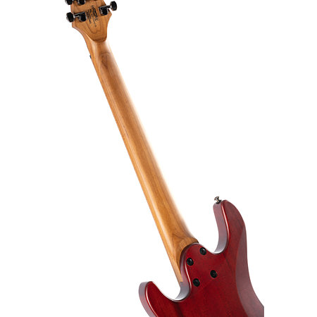 KX307 Multi Scale Open Pore Mahogany Cort