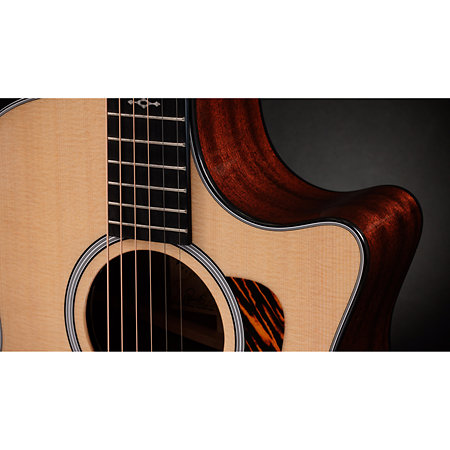 314ce Next Generation Taylor