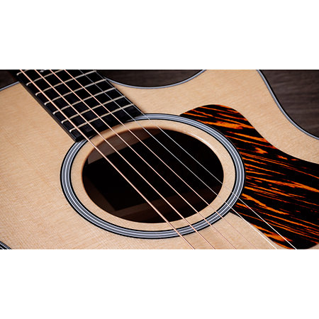 314ce Next Generation Taylor