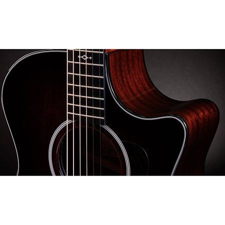 324ce Next Generation Taylor