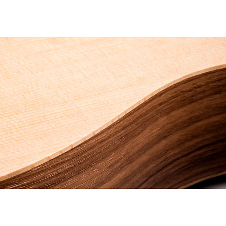 BT1e Baby Taylor Walnut LH + Housse Taylor