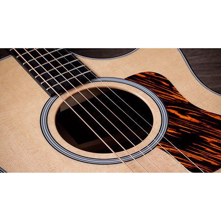 414ce Natural Next Generation Taylor