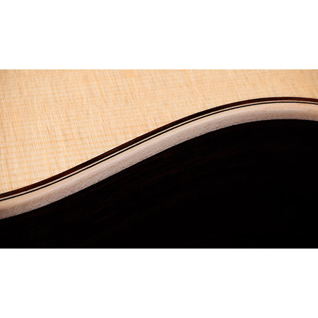 Taylor 814ce Next Generation Natural + Etui