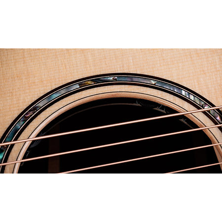 814ce Next Generation Natural + Etui Taylor