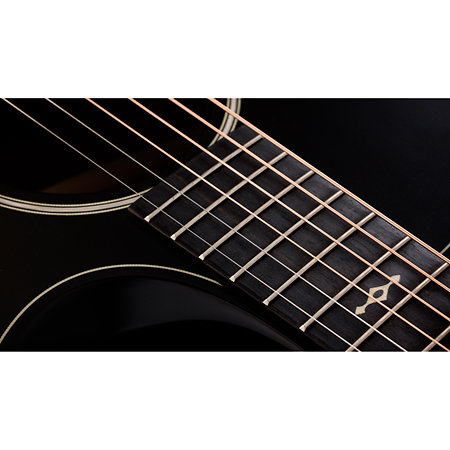 Builder's Edition 324ce Next Generation Tobacco Kona Burst + Etui Taylor