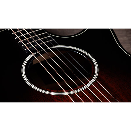 Builder's Edition 324ce Next Generation Tobacco Kona Burst + Etui Taylor