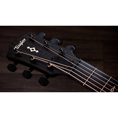 Builder's Edition 324ce Next Generation Tobacco Kona Burst + Etui Taylor