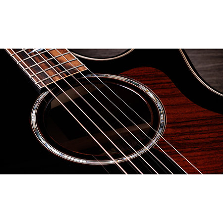 Builder's Edition 814ce Next Generation Blacktop + Etui Taylor