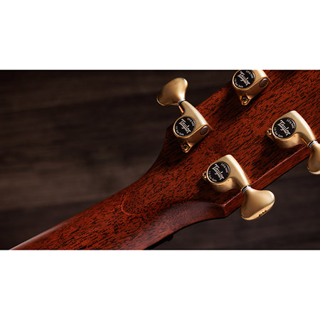 Builder's Edition 814ce Next Generation Blacktop + Etui Taylor