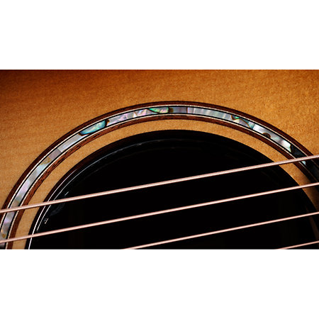 Builder's Edition 814ce Next Generation Honduran Rosewood / Adirondack Spruce + Etui Taylor