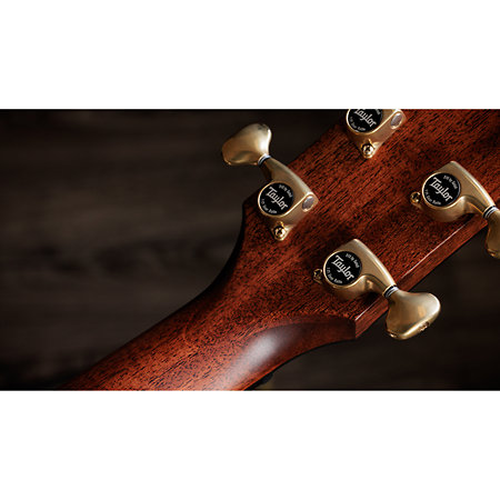 Builder's Edition 814ce Next Generation Honduran Rosewood / Adirondack Spruce + Etui Taylor