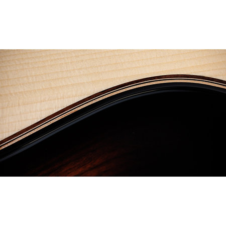 Taylor Builder's Edition 814ce Next Generation Indian Rosewood/Adirondack Spruce + Etui