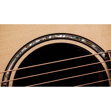 Builder's Edition 814ce Next Generation Indian Rosewood/Adirondack Spruce + Etui Taylor