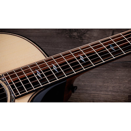 Builder's Edition 814ce Next Generation Indian Rosewood/Adirondack Spruce + Etui Taylor
