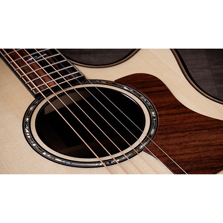 Builder's Edition 814ce Next Generation Indian Rosewood/Adirondack Spruce + Etui Taylor