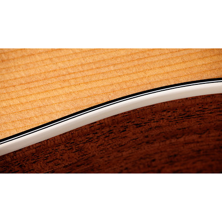 Taylor Gold Label 510e Natural + Etui