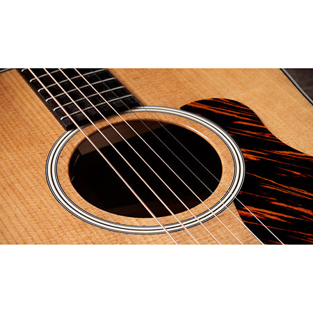 Gold Label 510e Natural + Etui Taylor