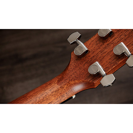 Gold Label 510e Natural + Etui Taylor