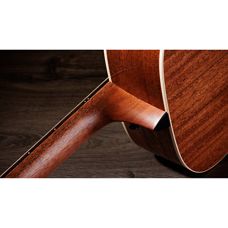 Gold Label 510e Natural + Etui Taylor