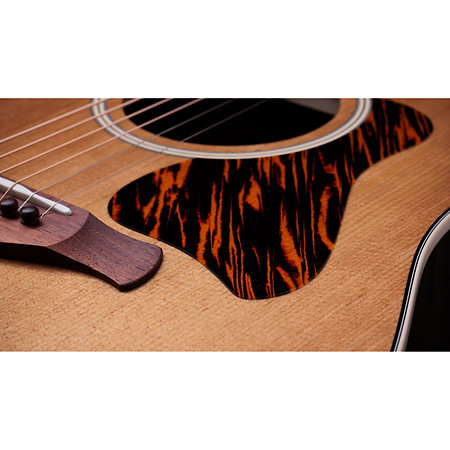 Gold Label 710e Natural + Etui Taylor