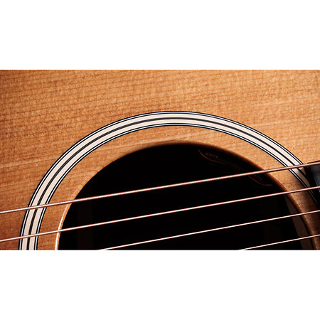 Gold Label 710e Natural + Etui Taylor