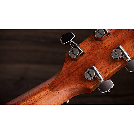 Gold Label 710e Natural + Etui Taylor