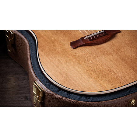 Gold Label 710e Natural + Etui Taylor
