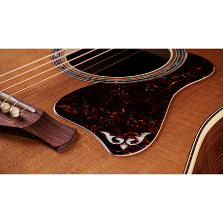 Gold Label 810e Honduran Rosewood Natural + Etui Taylor