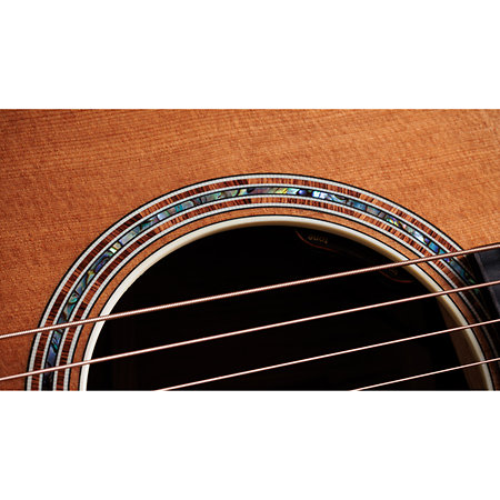 Gold Label 810e Honduran Rosewood Natural + Etui Taylor