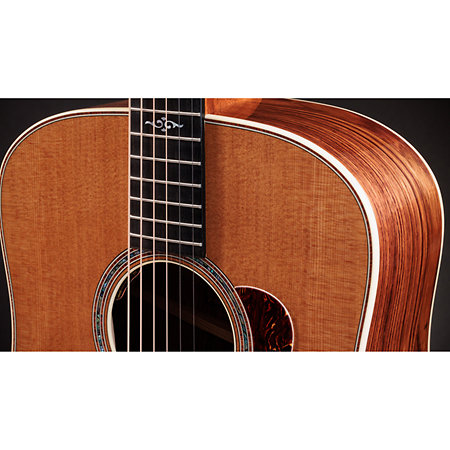 Gold Label 810e Honduran Rosewood Natural + Etui Taylor