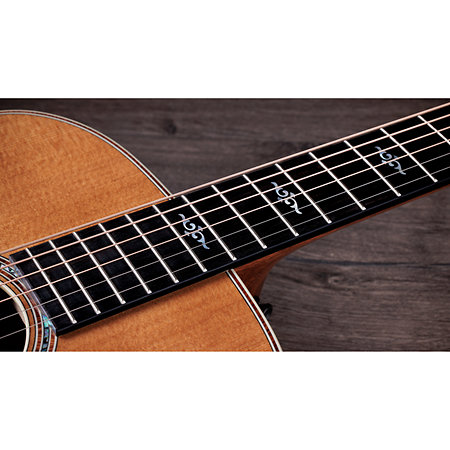 Gold Label 810e Honduran Rosewood Natural + Etui Taylor