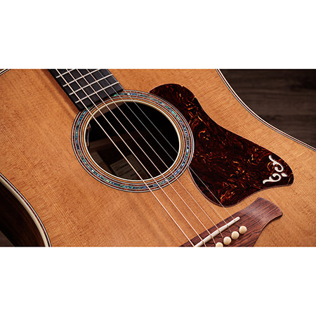 Gold Label 810e Honduran Rosewood Natural + Etui Taylor