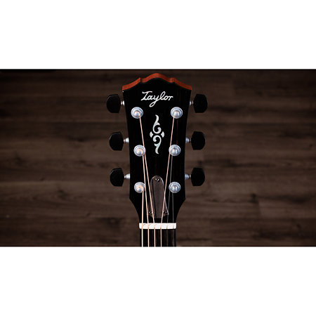 Gold Label 810e Honduran Rosewood Natural + Etui Taylor