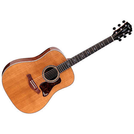Gold Label 810e Honduran Rosewood Natural + Etui Taylor