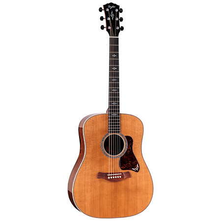 Gold Label 810e Honduran Rosewood Natural + Etui Taylor