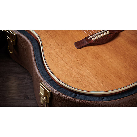 Gold Label 810e Honduran Rosewood Natural + Etui Taylor