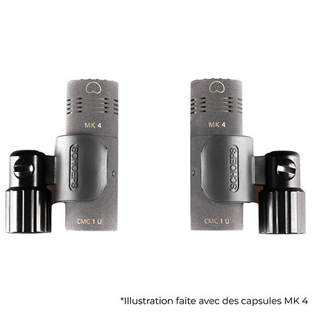 Schoeps Desert Island avec MK 22
