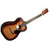 00 DB Jeff Tweedy Martin Guitars