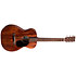 0-10E Retro Jason Isbell Martin Guitars