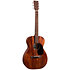 0-10E Retro Jason Isbell Martin Guitars