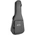 0-10E Retro Jason Isbell Martin Guitars