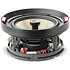 300 ICW8 Focal