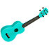 Recycled Waterman Soprano Aqua Mist Phosphorescent Kala