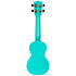 Recycled Waterman Soprano Aqua Mist Phosphorescent Kala