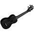 Recycled Waterman Soprano Black Sand Kala