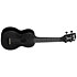 Recycled Waterman Soprano Black Sand Kala