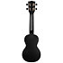 Recycled Waterman Soprano Black Sand Kala